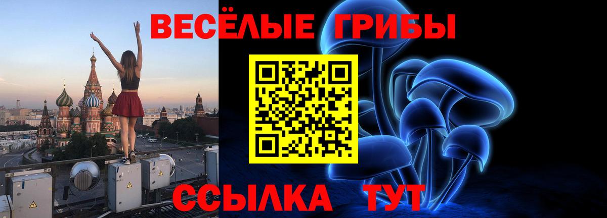 Псилоцибиновые грибы Psilocybe Южноуральск